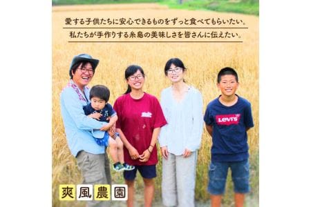 にんにく 500g 数量限定《糸島》【爽風農園】【いとしまごころ】[AHZ001]