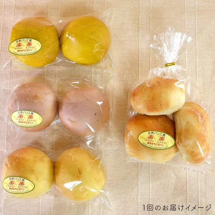 【 全6回 定期便 】身体がよろこぶ プチ パン セット ( 卵 / 乳製品 不使用 )《糸島》【天然パン工房楽楽】【いとしまごころ】[AVC010]
