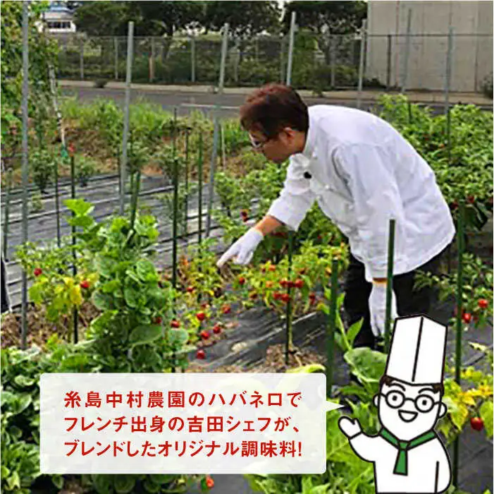 ハバネロ 酢 しょうゆ 200ml《糸島》【シェフのごはんやさん四季彩】【いとしまごころ】[ACC004]