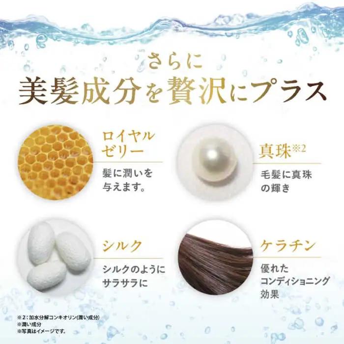利尻 シャンプー 《糸島》【株式会社ピュール】[AZA010]