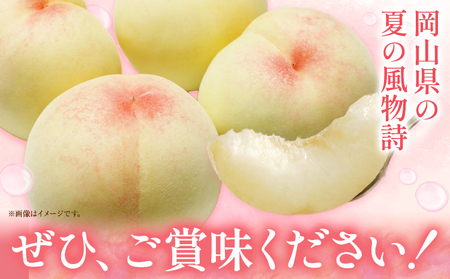 ご家庭用 おかやまの桃 約1.3kg　白桃