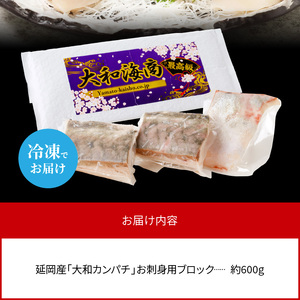 大和カンパチの切り身　約600ｇ N072-YA5532