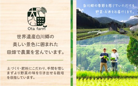 白川郷産 こしひかり使用 甘酒 500ml×2本 あま酒 あまざけ ノンアルコール 戸ヶ野 こしひかり 大田ファーム 米麹 岐阜県 白川村 9000円 [S227]
