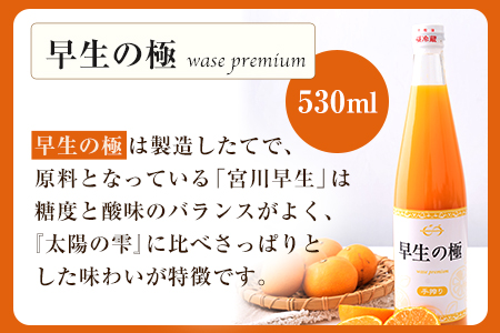 こだわりの手搾りみかんジュースセット 太陽の雫530ml×1本 早生の極み530ml×1本《11月下旬-3月末頃出荷》 菅本果実園