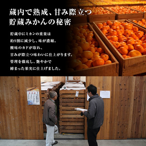 【2027年3月上旬より順次発送】三ケ日みかん「誉れ」 約4kg