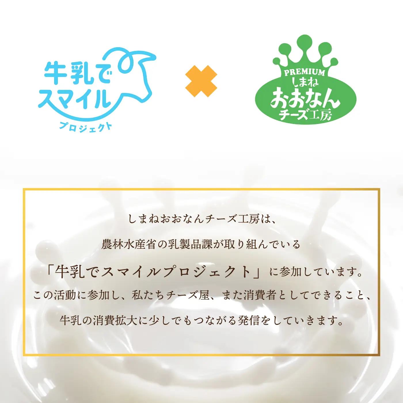 【島根県産】業務用リコッタチーズ　200g×2袋