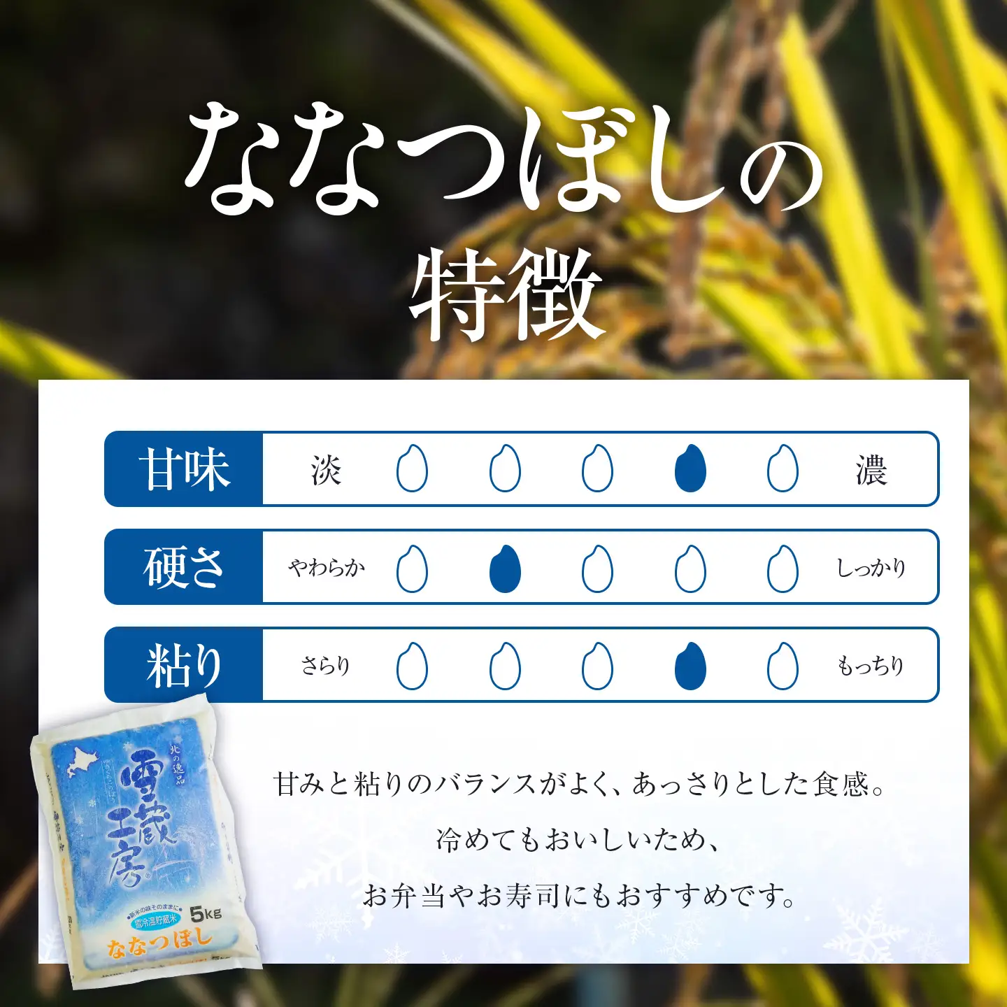 【北海道産ななつぼし】米 5kg 特A厳選米