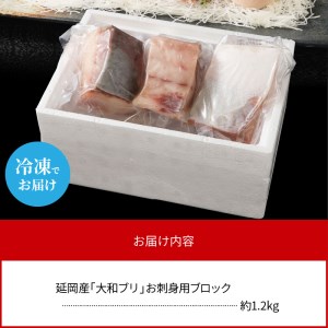 大和ブリの切り身たっぷり約１.２㎏ N072-YB1109