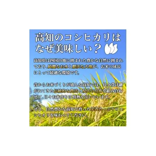 R8年産 新米 こしひかり 5kg 