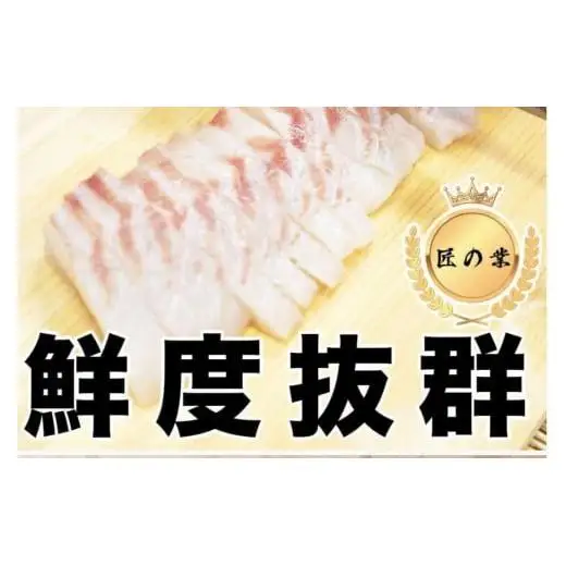 【 鯛 】 真鯛 まるごと 1尾 400 ～ 500g