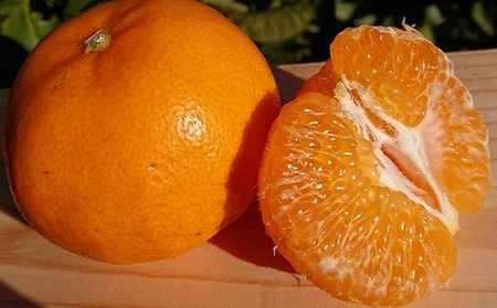 フジカワ果樹園スタッフの目利きセレクト！彩り中晩柑　約3kg 果物類 みかん 柑橘類 フルーツ