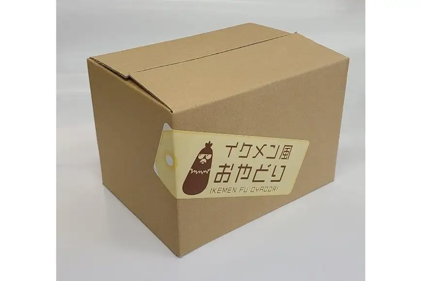 レトルト カレー 国産 骨付きモモ 1本 六ツ美のあの肉カレー 辛口 4個 セット