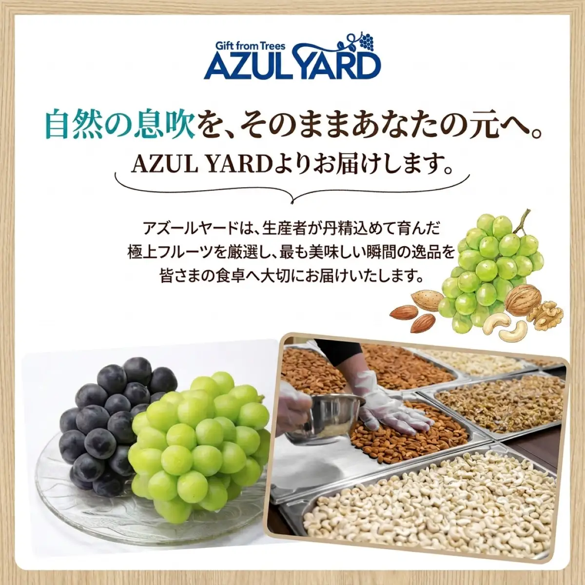 【マカダミアナッツ】 無塩300g　ロースト加工