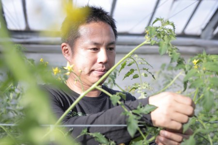 【期間限定発送】 野菜 瓦田こいとまと 中玉 約1kg×1箱