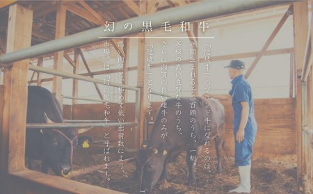 【定期便6ヵ月】隠岐牛 焼肉上盛合わせ 定期便