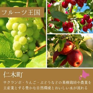スパークリングワイン KPBeginning 北海道産スパークリングワイン【750ml×2本】