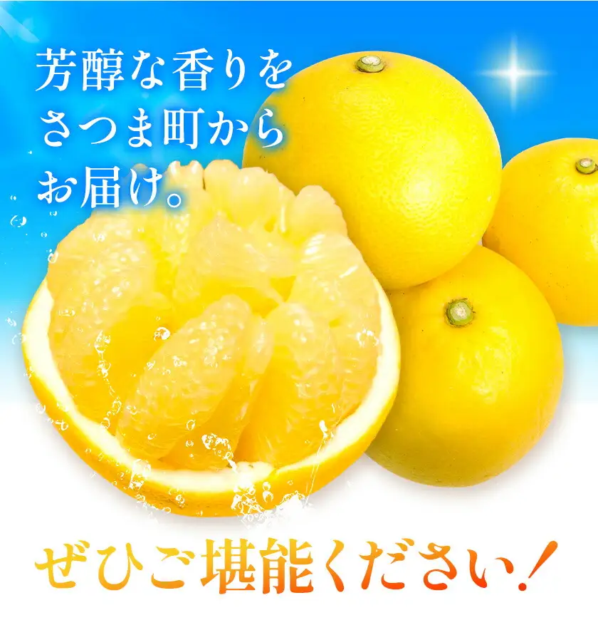 【先行予約】サワーポメロ 10kg 大橘（おおたちばな）よしたか農園 《2027年2月上旬-3月下旬頃出荷》