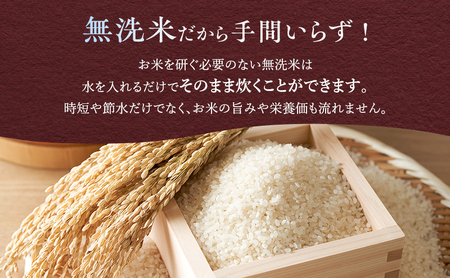 ななつぼし 無洗米 北海道産 ななつぼし【10kg(5kg×2袋)】【6ヵ月定期便】令和8年産