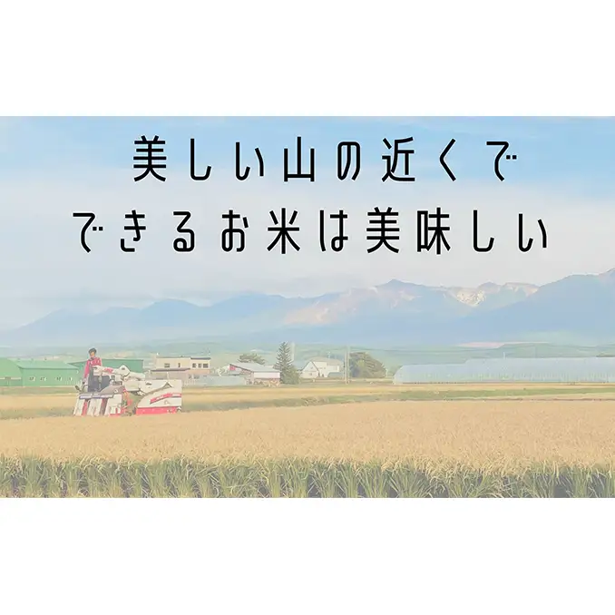 10ヶ月連続定期便 ななつぼし 無洗米 5kg  北海道 上富良野 特A 定期便