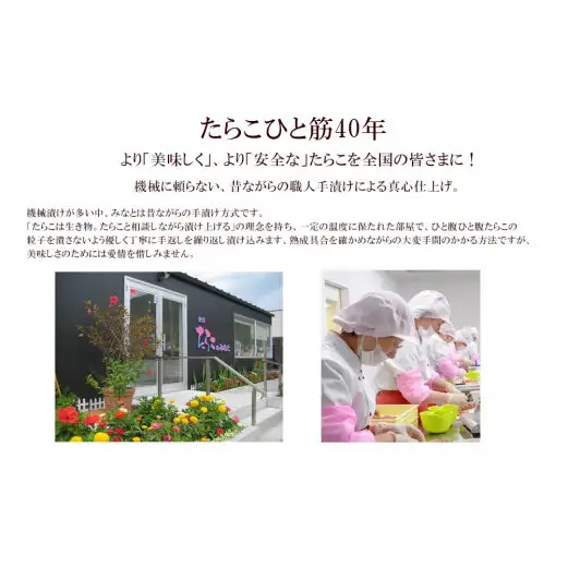 無添加 無着色 明太子350ｇ 冷凍 ギフト