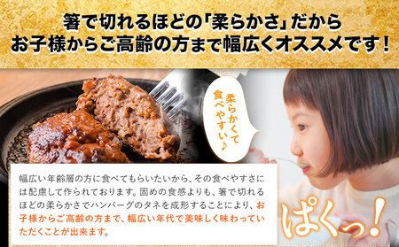 ハンバーグ あか牛100% 1.8kg 140g×13個 | ハンバーグ  
