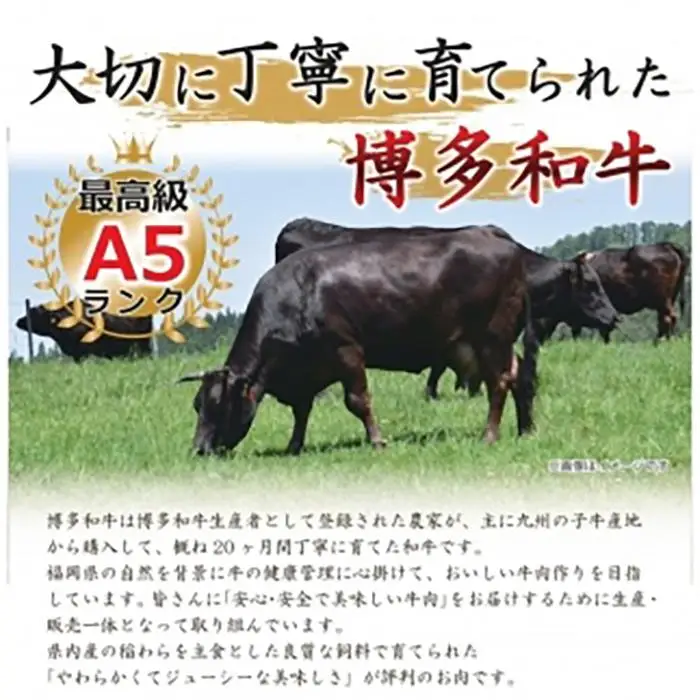 博多和牛焼肉用 500g
