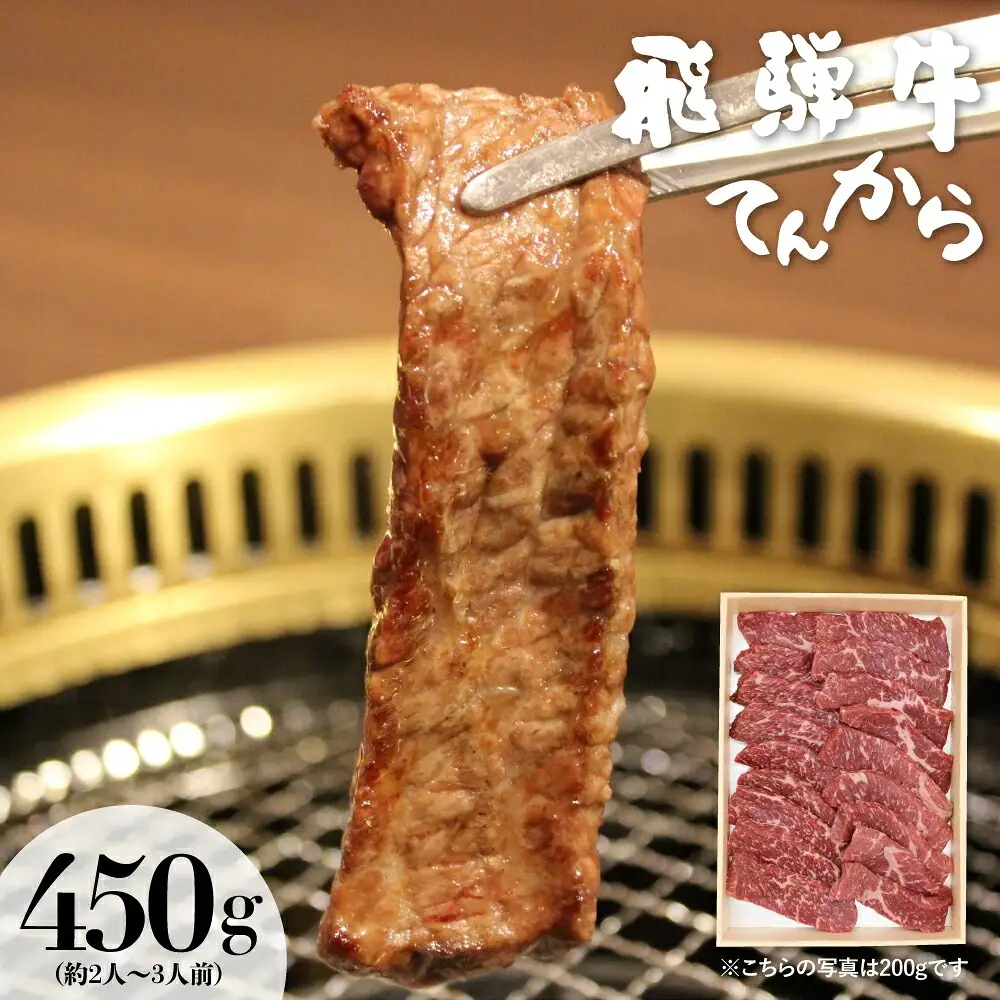 白川郷 まるごと定期便 全5回 お届け 肉 づくし 肉[S249]