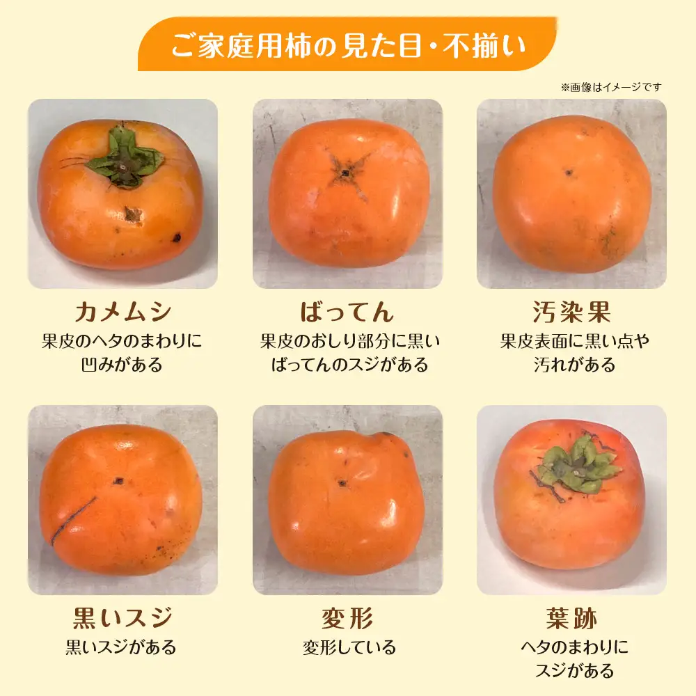 和歌山県産 富有柿＜ご家庭用＞約7.5kg［MG2］｜訳あり 柿