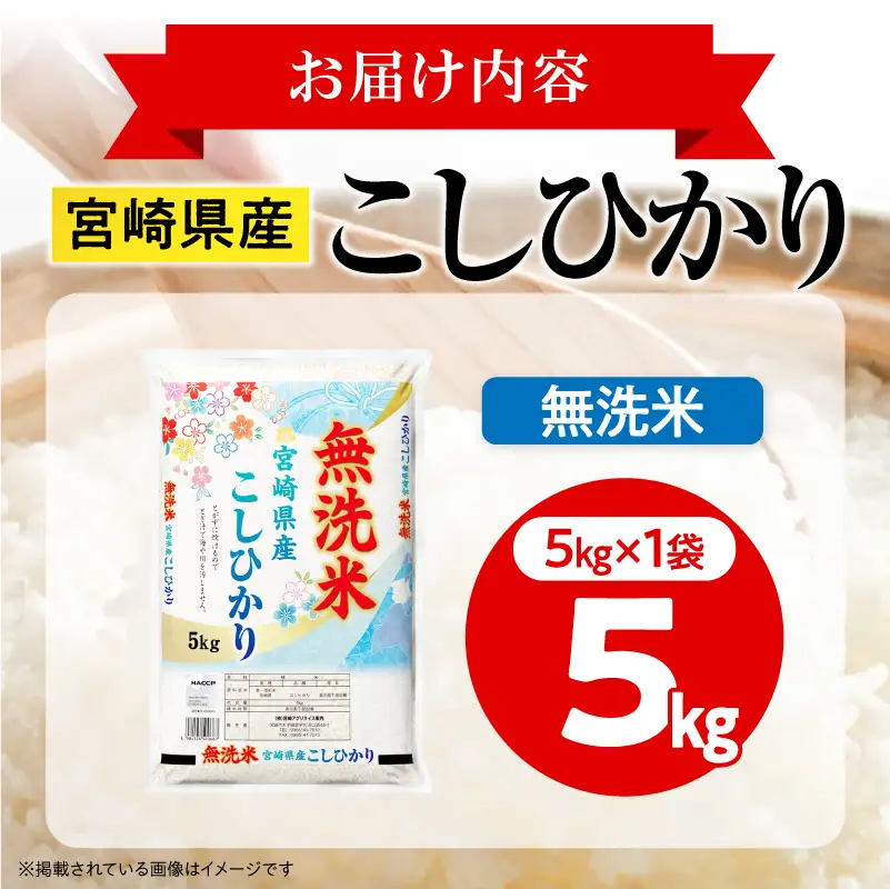 米 こしひかり 無洗米 合計5kg 米[令和8年産 宮崎県産 5kg×1袋 2～7営業日以内に発送予定]