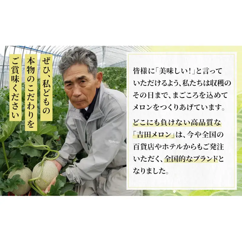 【2026年8月下旬より発送】北海道 富良野 メロン 赤肉 2玉 計約3.6kg メロン フルーツ 果物 新鮮 甘い 贈り物 ギフト 道産 ジューシー おやつ ふらの ブランド 夏  (吉田農園)