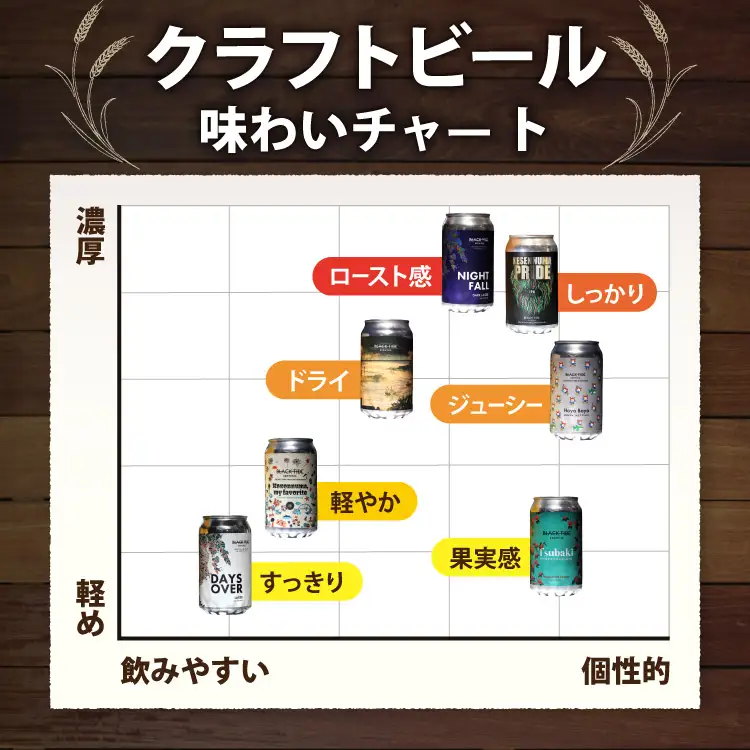 6回 定期便 BTB クラフトビール 6缶 セット【総計36缶】 