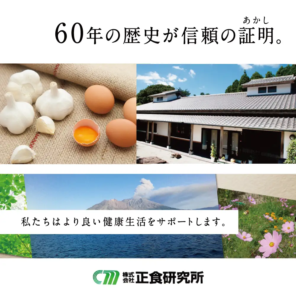 【国産にんにく使用】自家製 熟成黒にんにく（100g×3袋） 健康 美容 食品 ニンニク 黒ニンニク 正食研究所 鹿児島 南さつま市