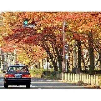 【MKハイヤー観光】【ミニバン5時間】ドライバーとめぐるとっておきの京都観光（3／21-6／20・10／1-11／30）