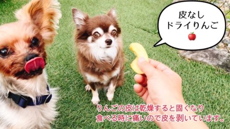 FB148_【10月～5月20日まで順次発送】犬の無添加おやつ☆お砂糖不使用ドライりんご４個