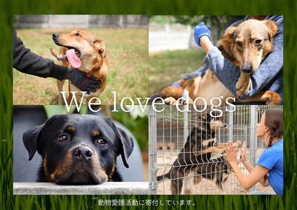 FB061_犬と猫の無添加おやつ☆お塩不使用☆黄金の燻製にぼし