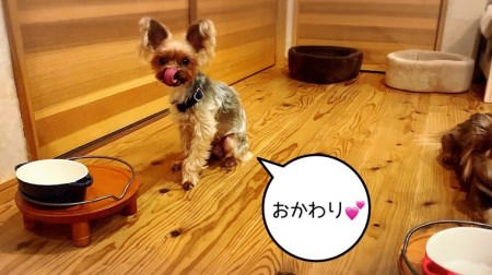 FB154_犬の無添加ごはん☆具だくさんカレー＆クリームシチュー＆ミネストローネ☆スモークソーセージ入り【各2袋・全6袋】定期便全6回