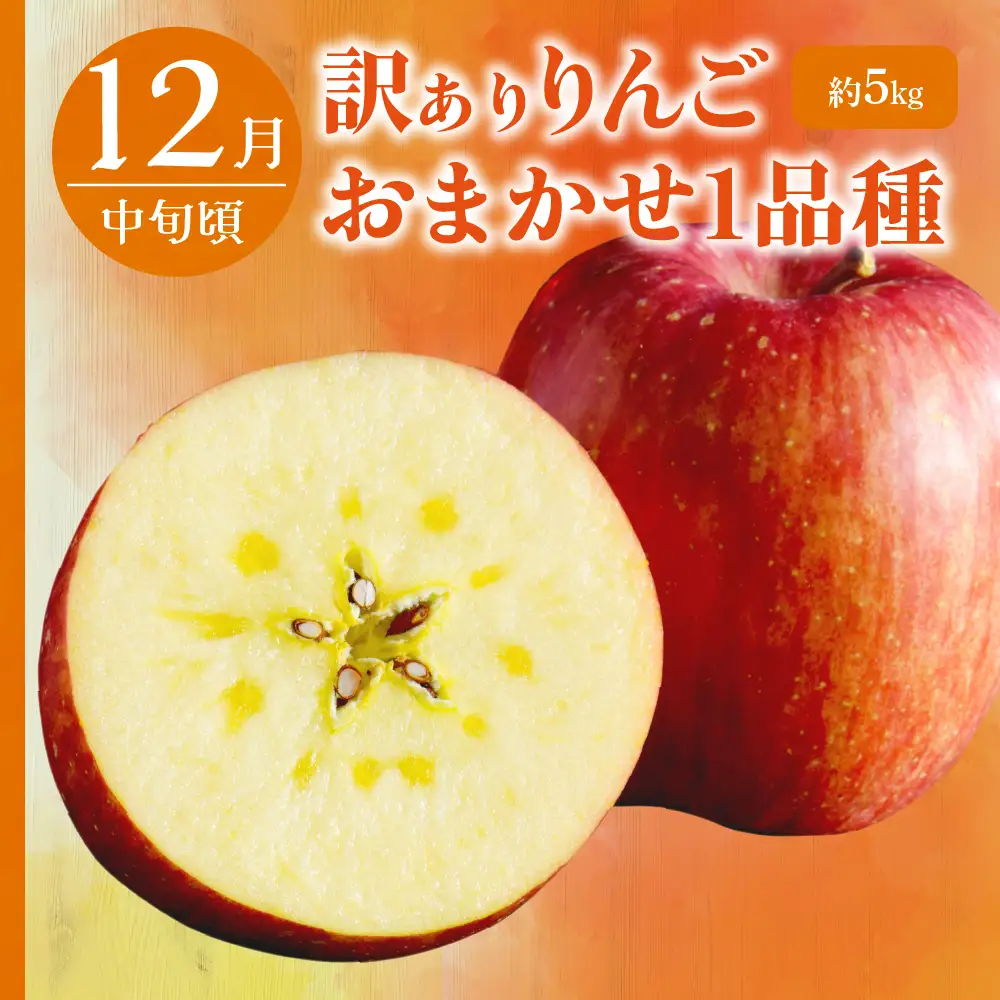 【2026年9月発送開始】 フルーツ定期便【3回】（りんごづくし）りんご 訳ありセット | フルーツ定期便