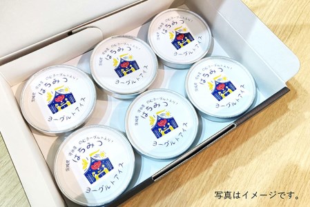 はちみつヨーグルトアイス　6個セット【お菓子・アイス・ハチミツ・ヨーグルト】