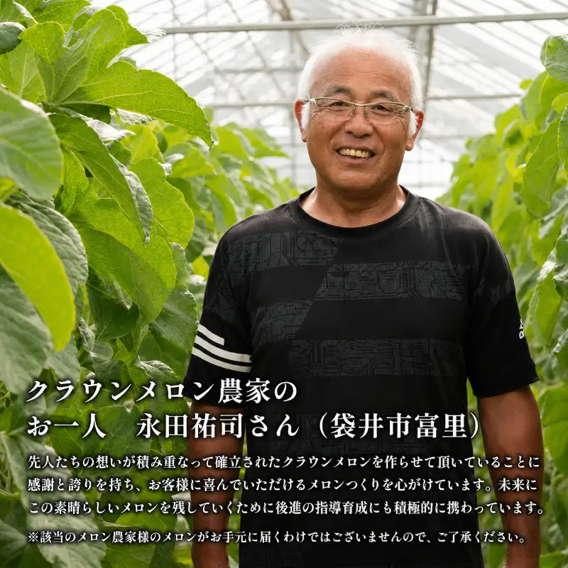 クラウンメロン マスクメロン 並 白等級 特大玉 クラウンメロン【約1.5kg 3玉】