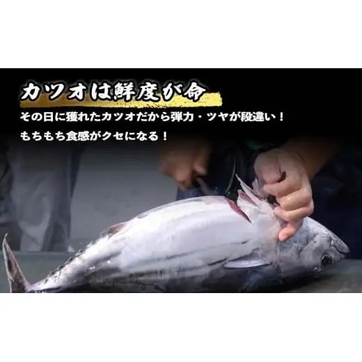 【 かつおタタキ 】 かつおタタキ 約400g