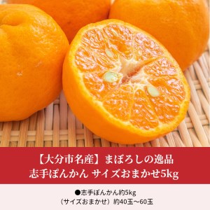 【2027年1月下旬より発送】【大分市名産】まぼろしの逸品 志手ぽんかん サイズおまかせ5kg C09020