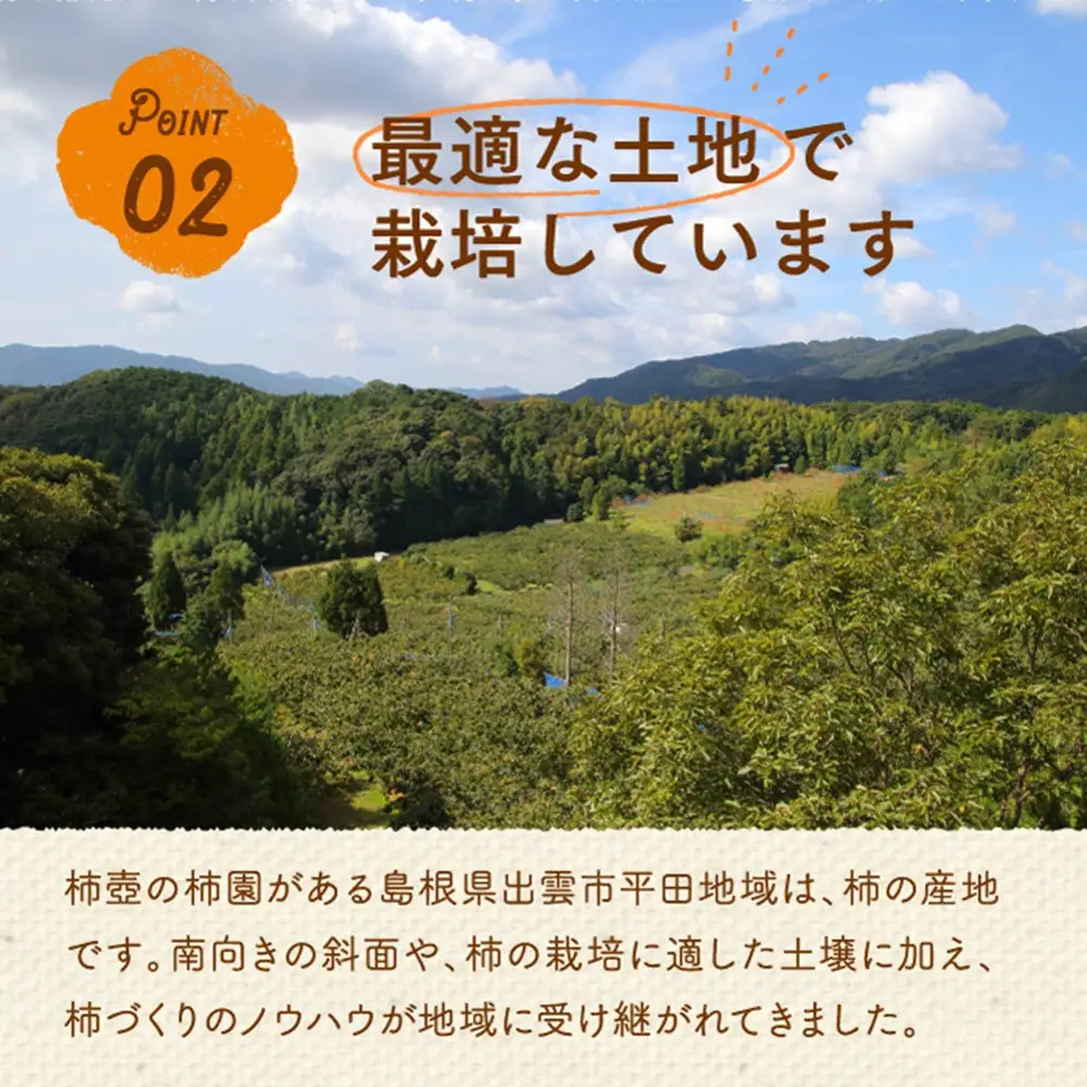 【柿専業の農家が作る】出雲産甘柿のドライフルーツ