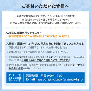 【ふるなびWEEK対象】たまご 水の恵み小卵 45個 S～MSサイズ 破卵保証5個入り　たまご 卵  [h081]