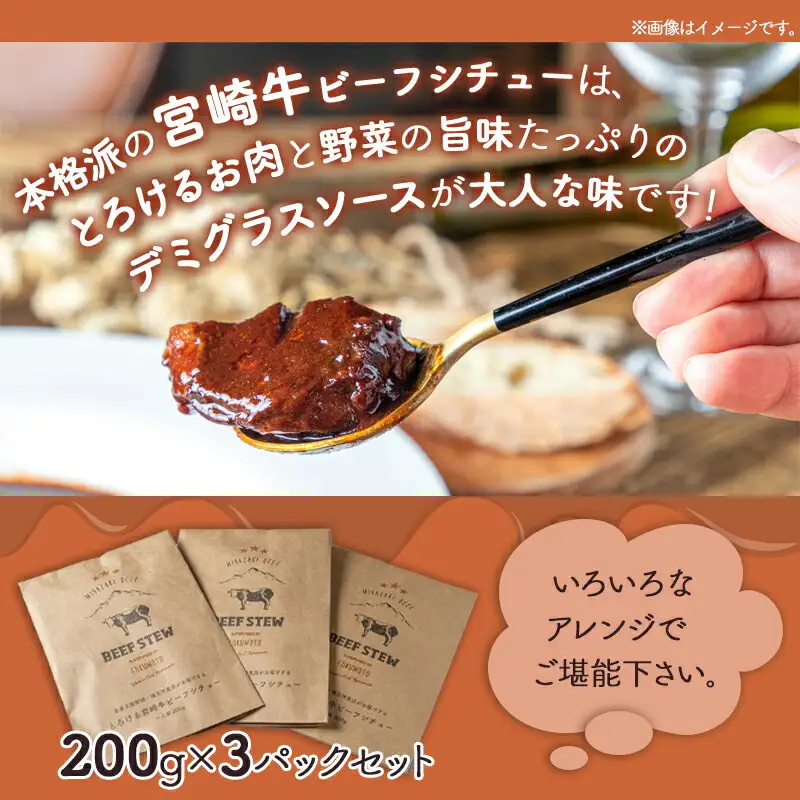 とろける宮崎牛ビーフシチュー3パックセット〔AA-H301〕_(都城市) 宮崎牛ビーフシチュー 200g×3P 洋食 看板メニュー とっておき ディナー おかず