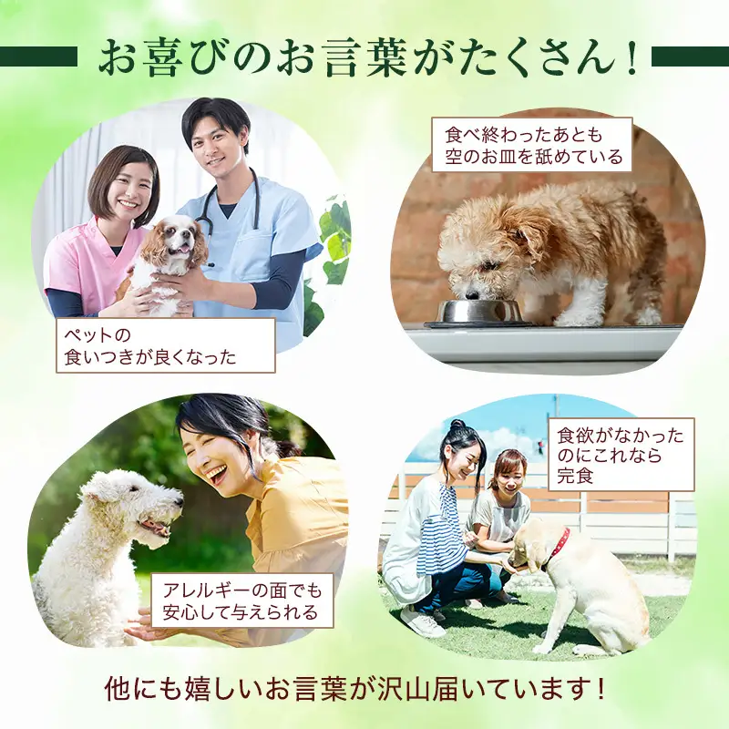 小諸産 KomoroPremium 4種類詰め合わせ（鹿肉ジャーキー・ウエットフード・ドライフード・アキレス腱） 