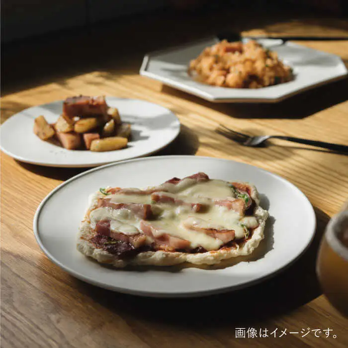 【波佐見焼】デルフト皿 プレート 21cm 白マット釉 2枚セット 食器 皿 【イロドリ】 [KE26] 波佐見焼