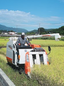 【令和7年度米】武川米農林48号 25㎏ [h100]