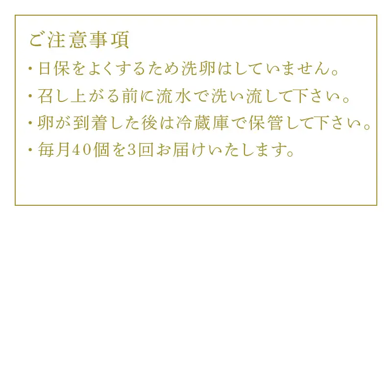 「全3回定期便」放し飼い！七山のたまご MLサイズ相当 (40個×3回) 合計120個