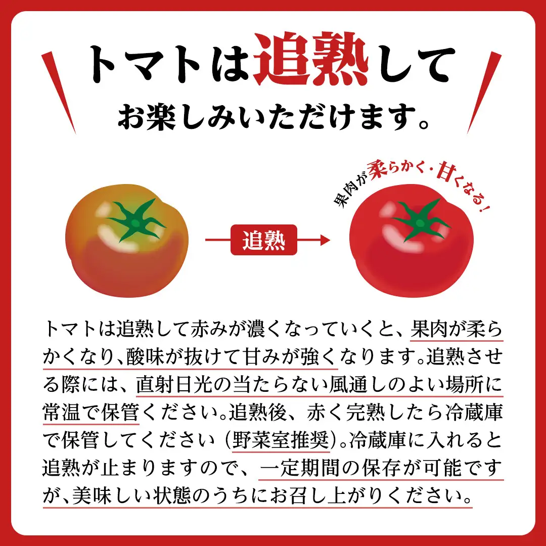 《 2027年 収穫分 》 訳あり フルーツトマト大箱 約2.6kg × 2箱  (20～35玉/1箱) 糖度7度以上 先行予約 茨城県 桜川市 KEK 国産 トマト ブランドトマト 訳アリ 不揃い 野菜 ギフト 贈答 [BC041sa]