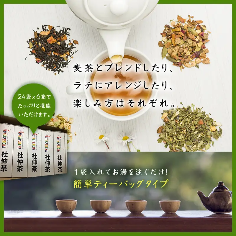 「全6回定期便」杜仲茶(24P×6本セット )×6回  2ヶ月に1回お届け